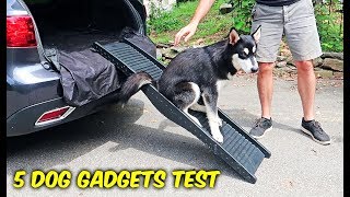 5 Dog Gadgets Put to the Test  Part 7