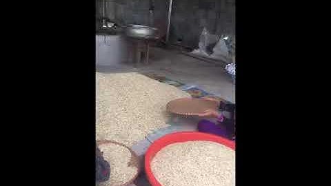 Video xưởng rang hạt dưa, hạt bí, hạt hướng dương bằng củi
