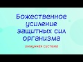 Божественное усиление защитных сил организма - иммунная система