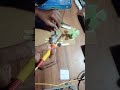 electrical energy generator with 2 dc motor