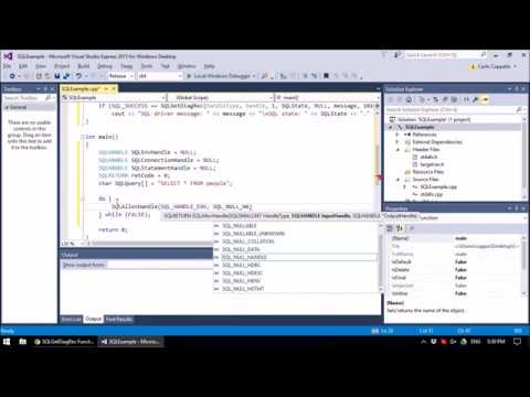 Making an SQL query from a C++ application (Visual Studio tutorial)