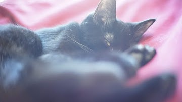 Stream via RTMP (OBS, Vmix, Zoom) with Restream