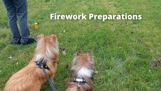 Shetland Sheepdogs Getting ready for Fireworks by Lovin' Mystery 331 views 4 months ago 4 minutes, 27 seconds