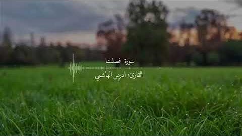سوره فصلت القارئ ادريس الهاشمي