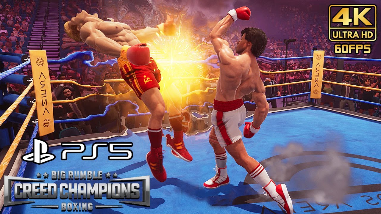 Multiplayer and Online Gameplay in Boxing Games