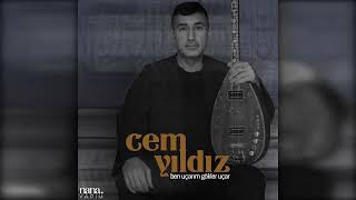 Cem Yıldız- Turna Resimi