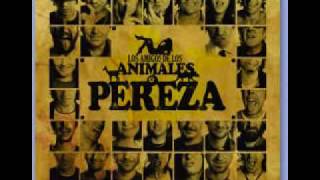 Vignette de la vidéo "pereza y pastora -musica ligera"