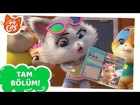 44 Kedi | Muhabir Kedi Gaby [TAM BÖLÜM] - Sezon 1 Bölüm 5