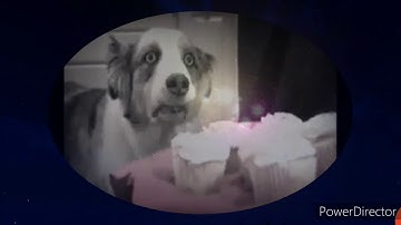 RUST FIREWORK SHOW PvE