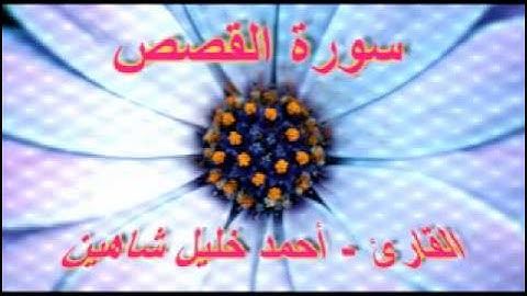 أحمد خليل شاهين - سورة القصص
