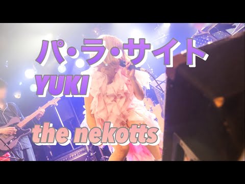 YouTube에서 YUKI/パ･ラ･サイト(cover.) the nekotts 보기