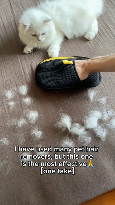 YOMI PET hair removal tools#cleaning #petbrush #cat #dog #petgrooming