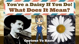 You're a Daisy If You Do Meaning / Curious To Know
