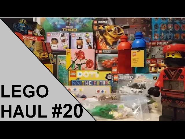 Ganz tolle Flohmarktfünde! | LEGO Haul Nr. 20 | Rpfreund2014