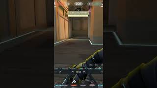 Ace no ouro... #twitch #valorant #sou #sounewba #omen #brasil #replay