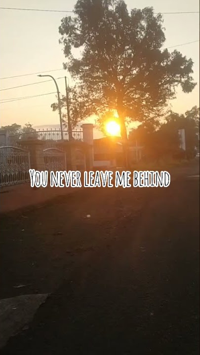 potongan lagu Gym class heroes : stereo hearts ft. Adam levine #storywa30detik #storywa