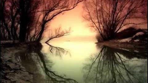 Module Module an interlude dubstep