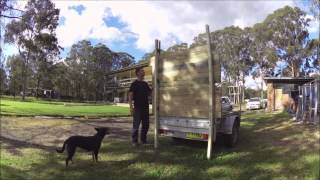 Nimble in the high jump by Australian Working Dog Rescue 1,852 views 9 years ago 3 minutes, 54 seconds