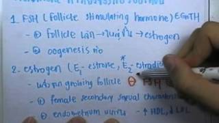 ormBio ver2 : Endocrine System Episode 06
