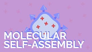 What is molecular self-assembly?