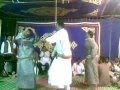 افراح مطروح
