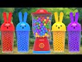 Surprise Color bottle | Finger Family + more Nursery Rhymes &amp; Kids Songs | Kindergarten