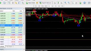 Forex - กราฟแท่งเทียน2