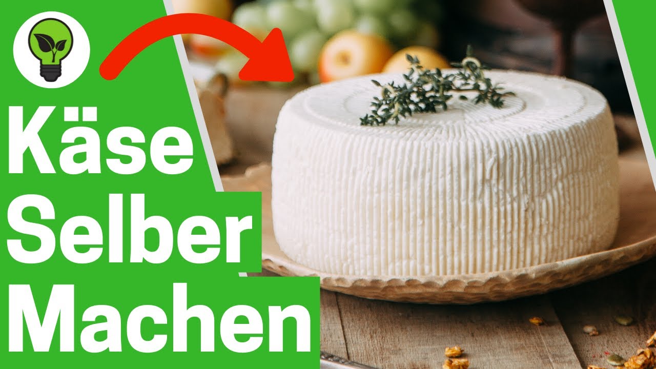 Käse selber Machen ohne Lab ULTIMATIVES REZEPT: Wie Käse selbst zu ...