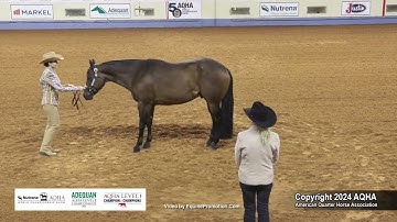 Amateur Showmanship - 2024 AQHA World Championship Show