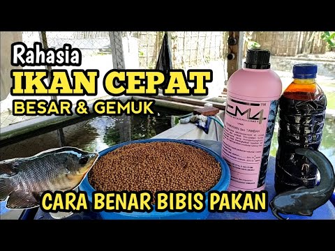 Video: Kilang mini untuk perniagaan kecil - peluang hebat untuk mengaut keuntungan yang lumayan