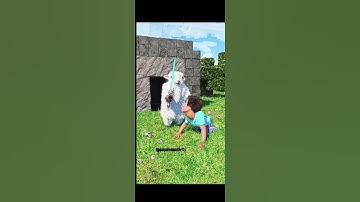 Minecraft rtx 169 sheep