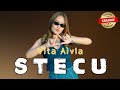 VITA ALVIA - STECU KARAOKE // DJ REMIX VIRAL TIK TOK TERBARU 2025 ( Nada Wanita )