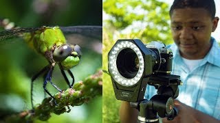 Top 7 Macro Photography Accessories from Fotodiox