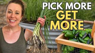 5 Vegetables That Keep Producing the More You Harvest