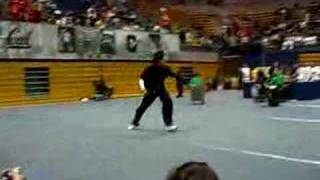 CMAT 2007 - nandu changquan - Bryan Cartago by squirrelfry 1,613 views 17 years ago 1 minute, 52 seconds