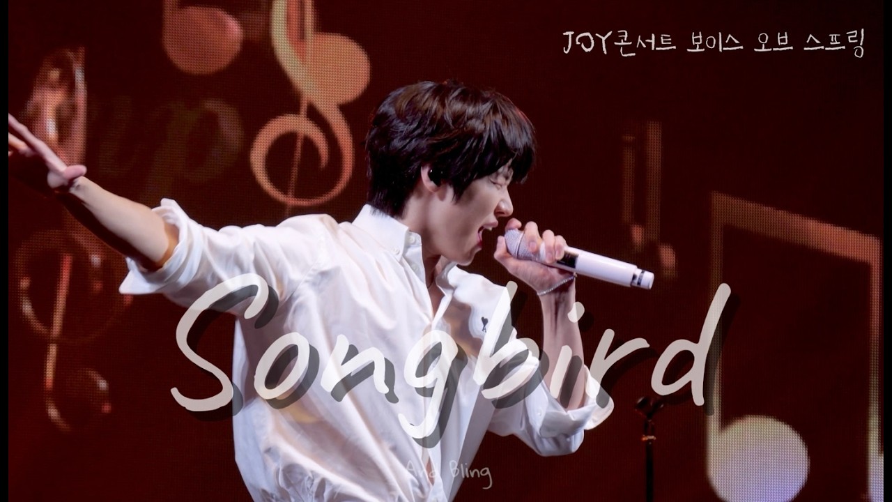 JOY콘서트 보이스 오브 스프링 N.Flying l Songbird (Korean Ver.) [ 260221] 4k직캠
