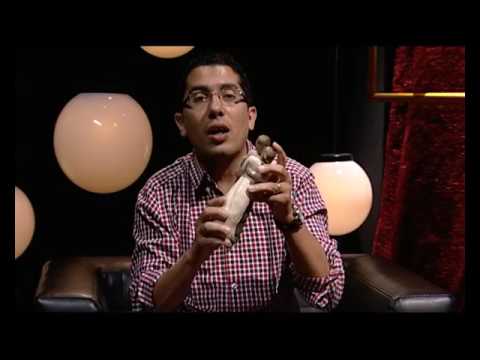 نرى نورا المرنم بيتر مجدي مع المهندس عزيز أمير الحب