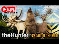 Great one fallow is on the map  hypifed  thehunter  call of the wild