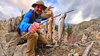 SOLO Trout Fishing & Goat Rescue!!! (Catch & Cook)