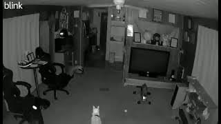 356612577 6375221789229643 5193274866386181161 n