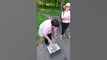 🔥Адамов корень.👉Ессентуки  #Shorts #ессентуки #кавказскиеминеральныеводы