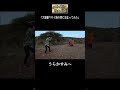 マサイ族の夫婦写真撮ってたんだけど...
