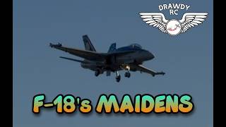 Freewing F-18 and FMS F-18 (Double Wammy)