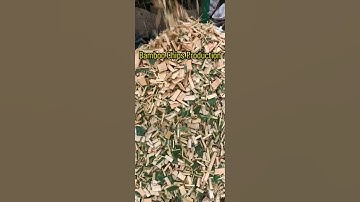Power Up Your Bamboo Processing with A High-Capacity Bamboo Chips Shredder! #woodworking #woodchips