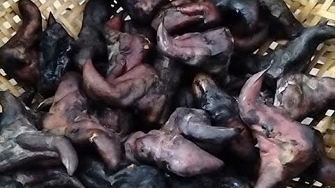 Cách Nấu Củ Ấu Ngọt Bùi Ăn Rất Ngon Không Bị Chát#buacomquenha 