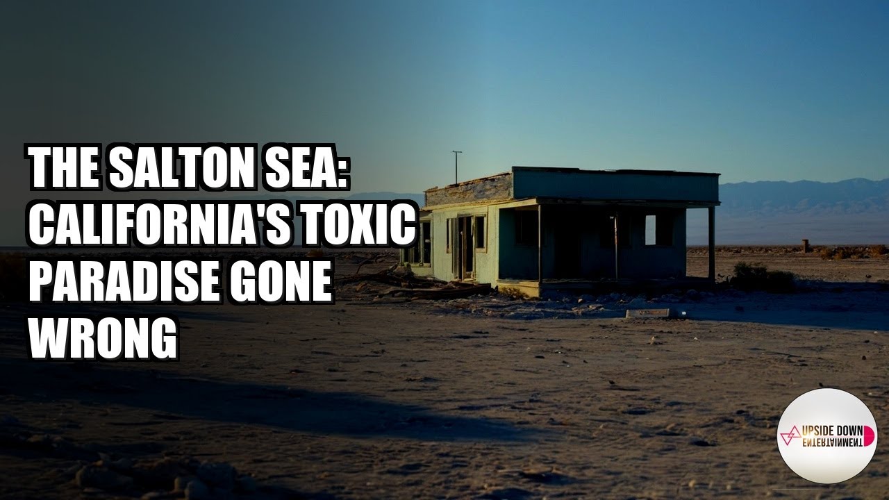 The Salton Sea: California's Toxic Paradise Gone Wrong