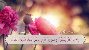 أواخر سورة القصص بصوت المبدع رعد الكردي