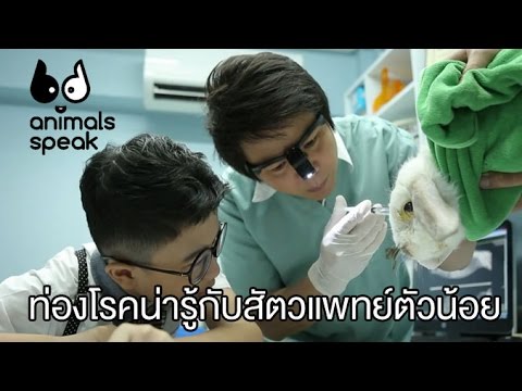Animals Speak [by Mahidol] ท่องโรคน่ารู้กับสัตวแพทย์ตัวน้อย