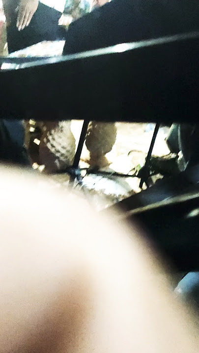 Deo Nunu Cover Menina Lindisima Rabenta🎹🎤🔥