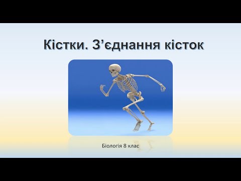 Біологія людини. Кістки, з&rsquo;єднання кісток